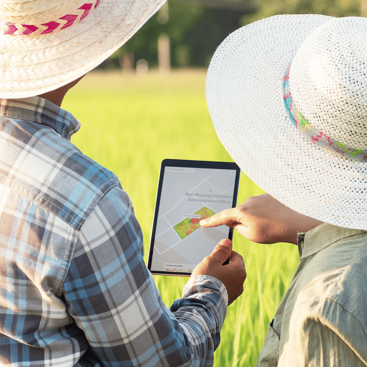 SPS_Case Study_Ricult_sq (Blue)