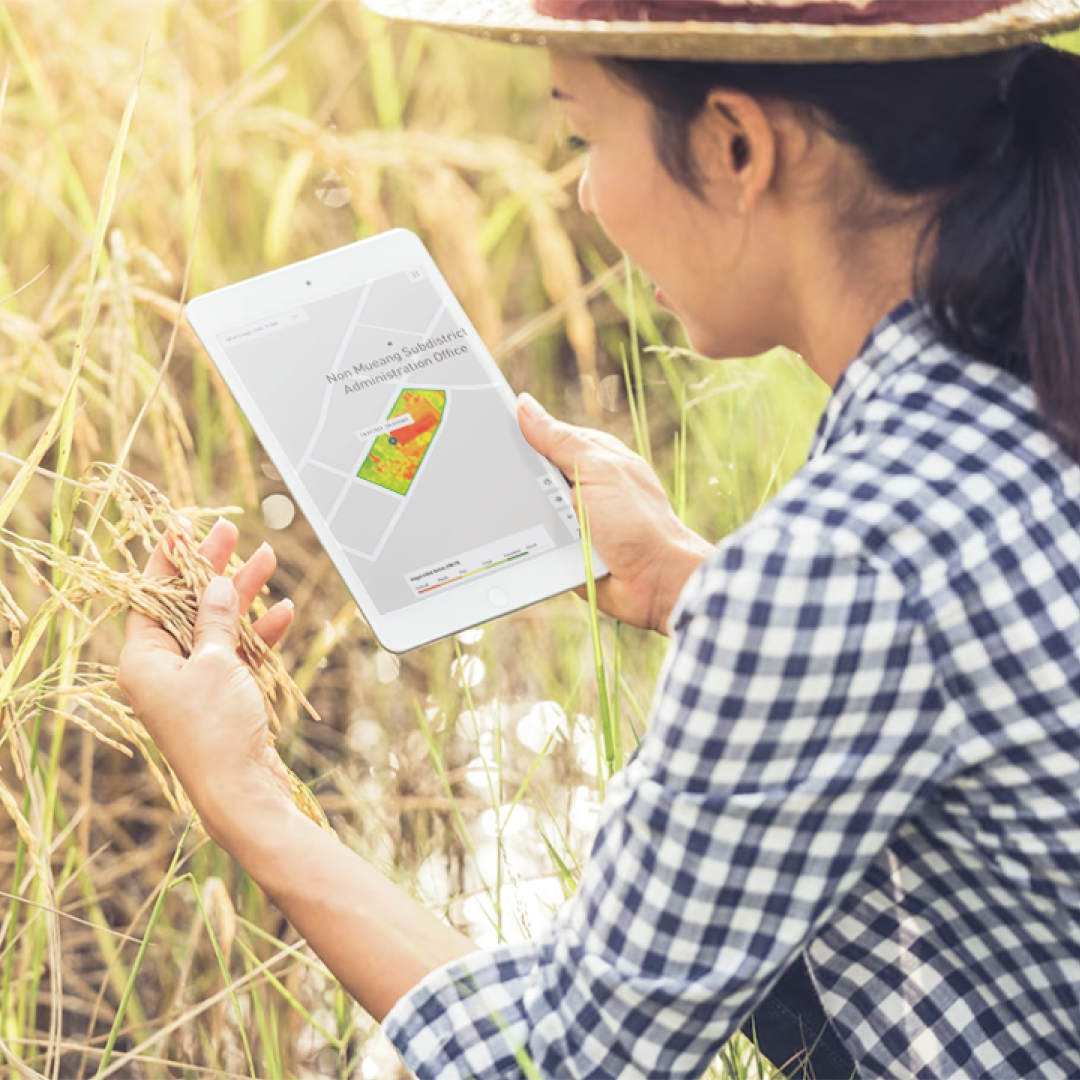 SP_2025MM_CS-Ricult_Thumbnail