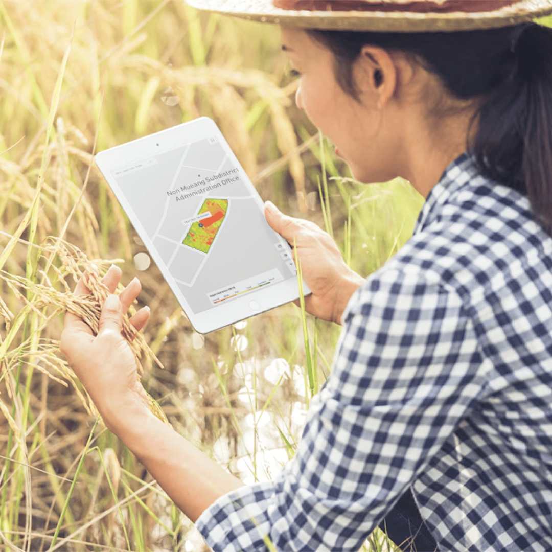 SP_2025MM_CS-Ricult_Thumbnail