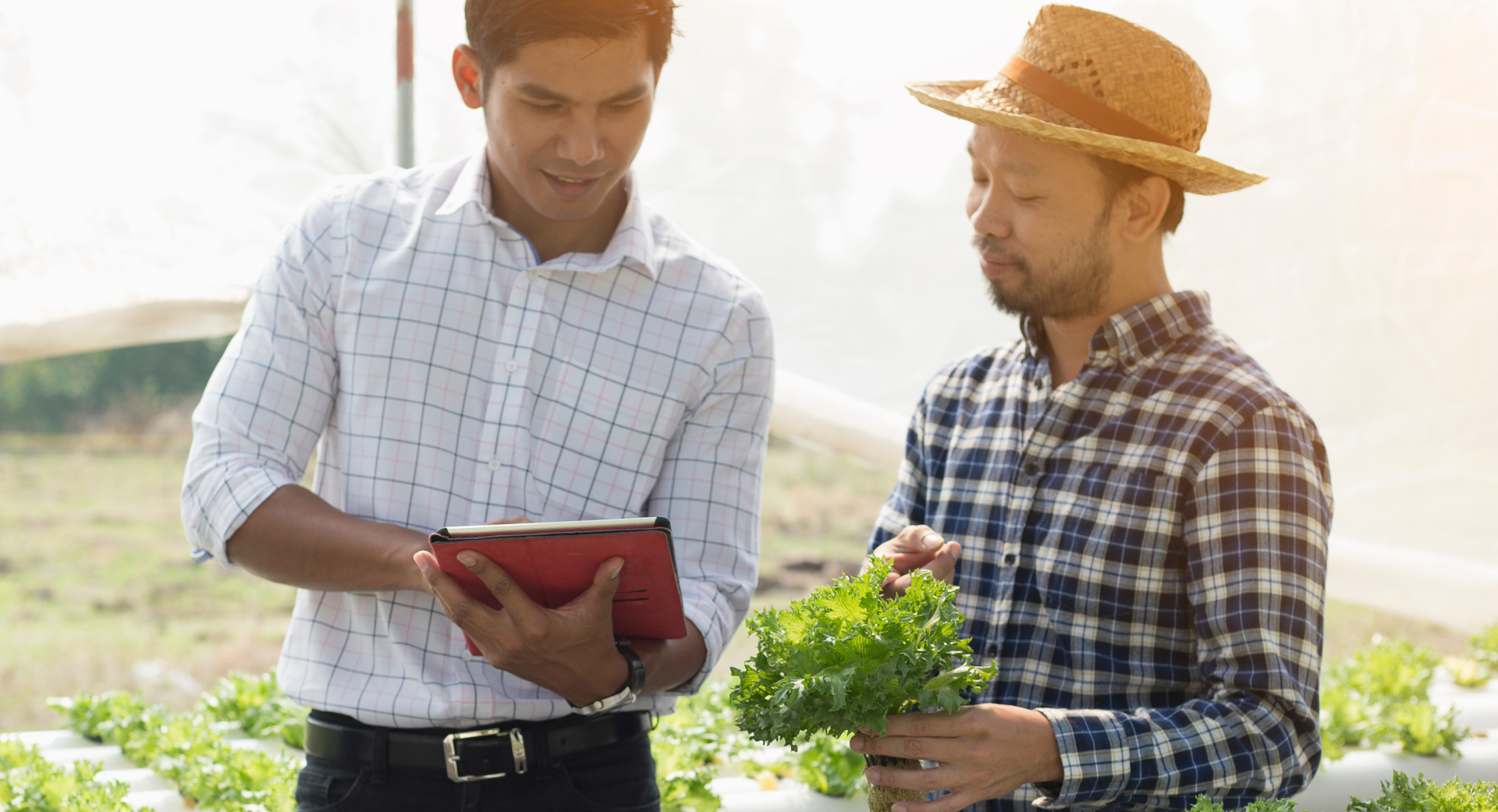 SP_Leadership_Ricult (Renier) - 04