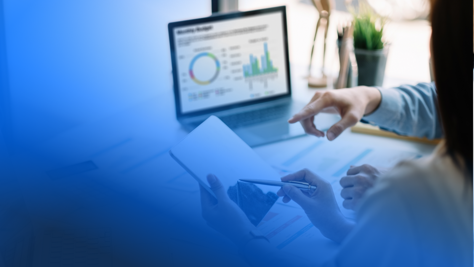 Software Company In Thailand - Seven Peaks Software